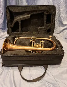 11209294 ROY BENSON Flugelhorn Denis Wick Mouthpiece