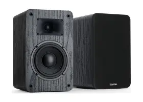 DS6900M SAIYIN Passive Bookshelf Speakers Peak Power Woofer
