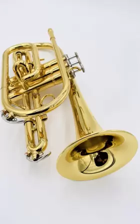 JYTC407 SEASOUND Cornet #2