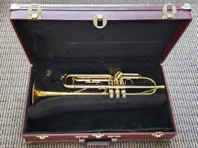 52949 SELMER Radial