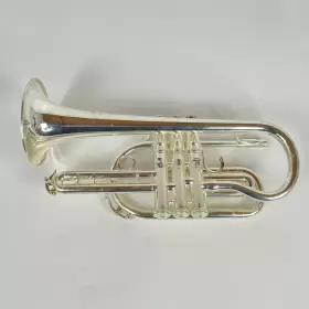 210000033924 SHIRES Cornet #3
