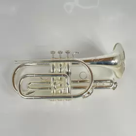 210000033924 SHIRES Cornet