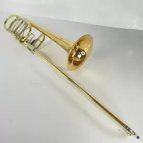 210000035640 SHIRES Demo Gb Bass Trombone