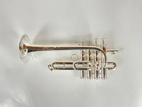 210000035759 SHIRES Demo Piccolo Trumpet #2