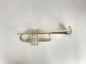 210000036773 SHIRES Trumpet