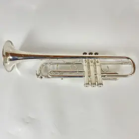 210000036881 SHIRES Az Trumpet #3