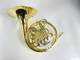 210000038517 SHIRES Demo Double French Horn