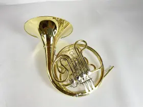 210000038585 SHIRES Demo Double French Horn