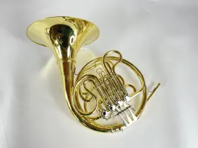 210000038589 SHIRES Demo Double French Horn