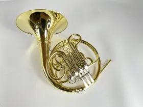 210000038591 SHIRES Demo Double French Horn