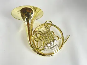 210000038593 SHIRES Demo Double French Horn