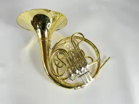 210000038595 SHIRES Demo Double French Horn