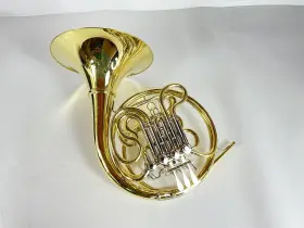210000038597 SHIRES Demo Double French Horn