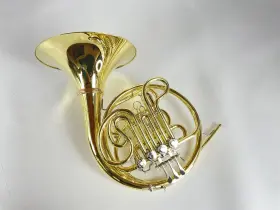 210000038599 SHIRES Demo Double French Horn