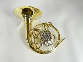210000038603 SHIRES Demo Double French Horn