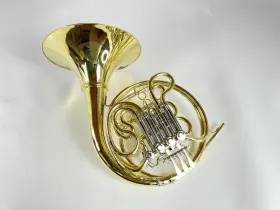 210000038605 SHIRES Demo Double French Horn