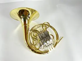 210000038609 SHIRES Demo Double French Horn