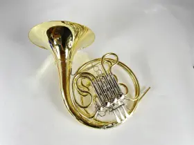 210000038679 SHIRES Demo Double French Horn