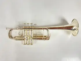 210000039213 SHIRES Trumpet
