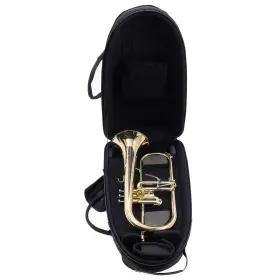 Q19G SHIRES Flugelhorn