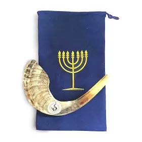 634420356067 SHOFAROT ISRAEL Half Ram Horn Shofar