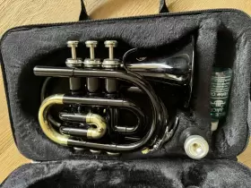 JPT-416 SKY BRAND Skylark Pocket Trumpet Mini #2