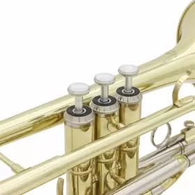 MGV4856274574810TM SLADE Flat Cornet #3