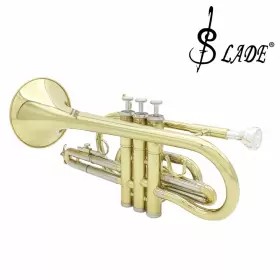 MGV4856274574810TM SLADE Flat Cornet