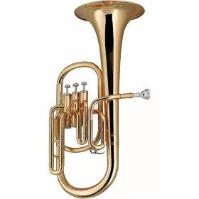 USED005001 STAGG Eb Alto Horn