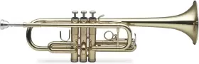 695634566208 STAGG Trumpet
