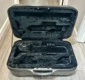 882030107979 STAGG Rugged Abs Trumpet #2