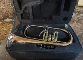 LV-FH6205 STAGG Levante Flugelhorn Mouthpiece