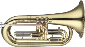 LV-MB5505 STAGG Marching Baritone Pistons Steel