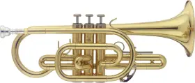 WS-CR215 STAGG Cornet Abs