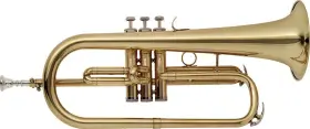 WS-FH215 STAGG Flugelhorn