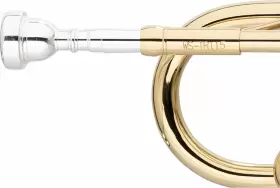 WS-TR115 STAGG Trumpet Body Material #2