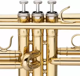 WS-TR115 STAGG Trumpet Body Material #3