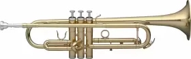 WS-TR115 STAGG Trumpet Body Material