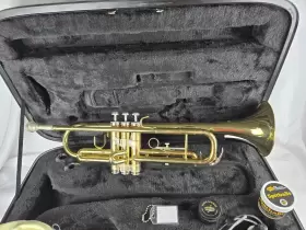 WS-TR215 STAGG Trumpet Abs Great #2