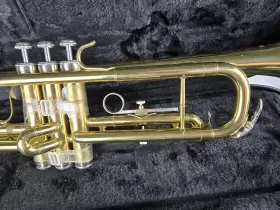 WS-TR215 STAGG Trumpet Abs Great #3