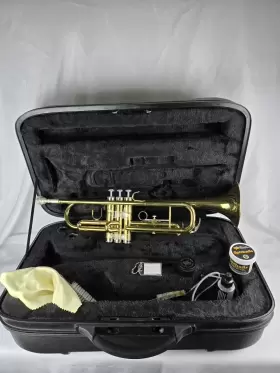 WS-TR215 STAGG Trumpet Abs Great