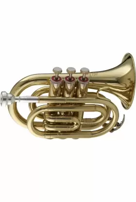 WS-TR245 STAGG Pocket Trumpet