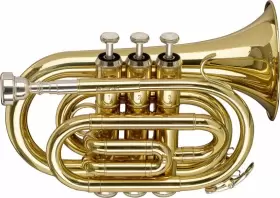 WS-TR245S STAGG Pocket Trumpet Body Material