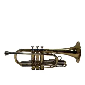 56251 STEYR MUSICA Trumpet Musical