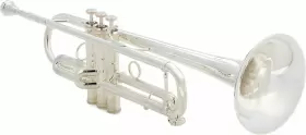 5363BIG STOMVI Big Trumpet