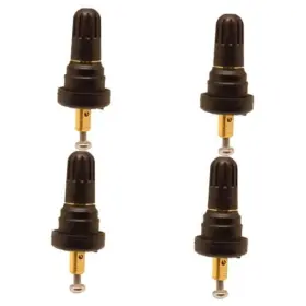 17-50398 TUHAOWA Tpms Valve Stem Parallel Key