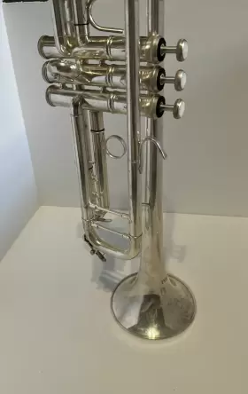 JTR-600 TYGENN Trumpet #2