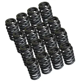 PAC1219 VANLISON Valve Springs Pack Beehive Set Lift