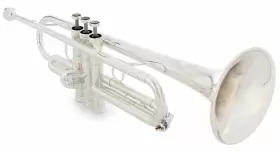 G2-RTPSP-S VICTORY MUSICAL INSTRUMENTS Revelation Trumpet