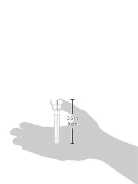 641064005022 VINCENT BACH Trombone Cleaning Care #2